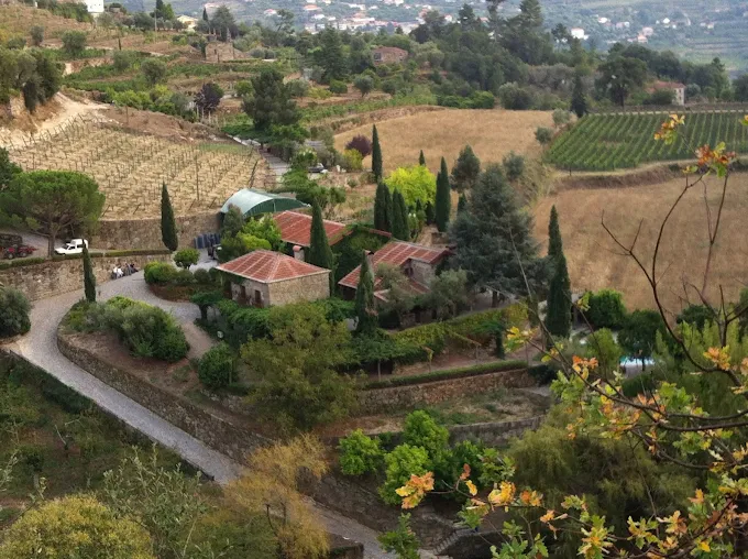 Quinta da Covela - Atividades e Visitas