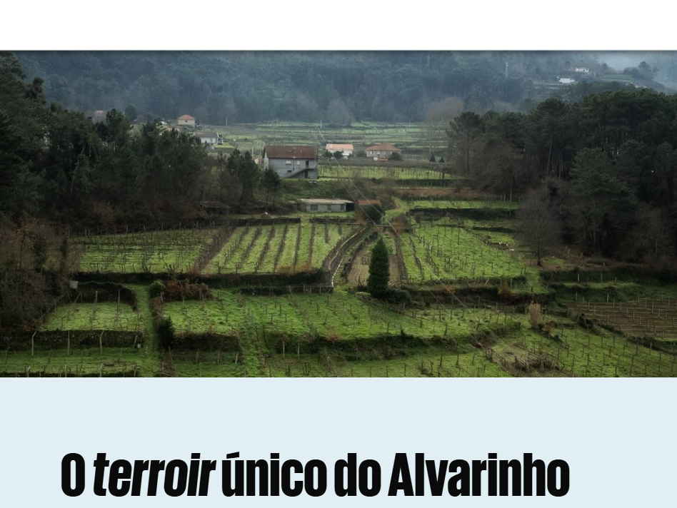 Sub-Regi&atilde;o de Mon&ccedil;&atilde;o e Melga&ccedil;o em destaque no Terroir - Jornal P&uacute;blico